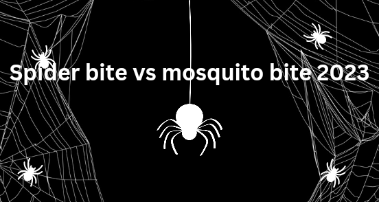Spider bite vs mosquito bite 2023